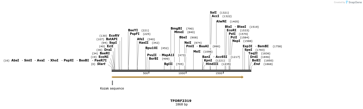 278233_map