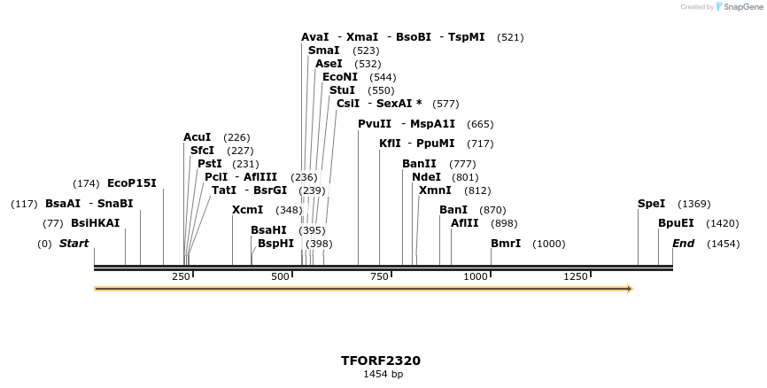 278236_map