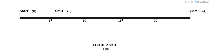 278237_map