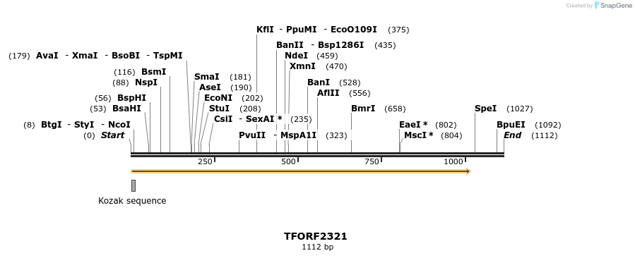 278239_map