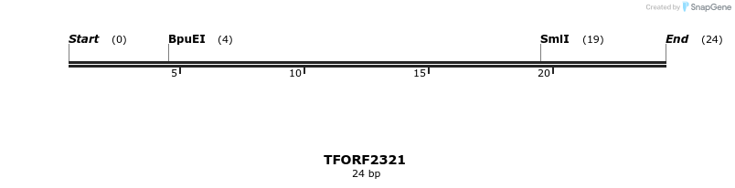 278240_map