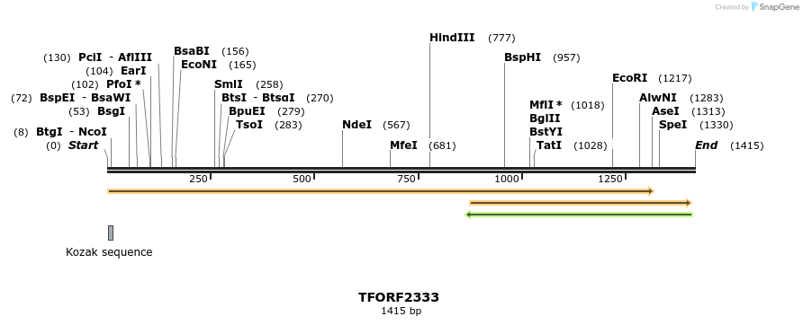 278242_map