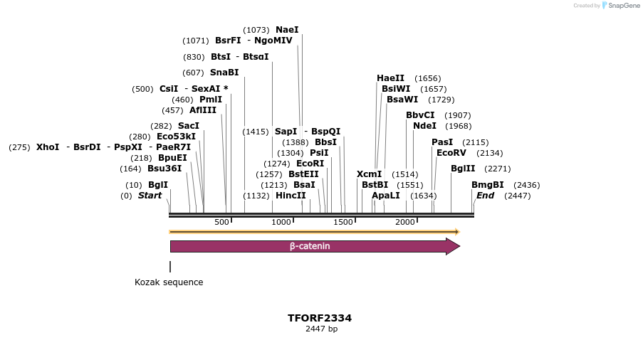 278245_map