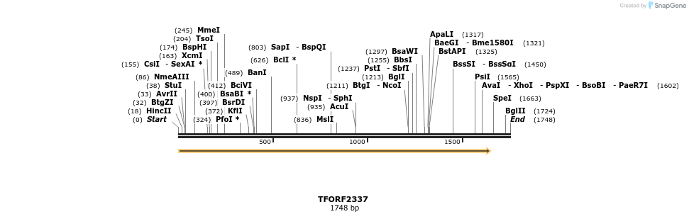 278248_map