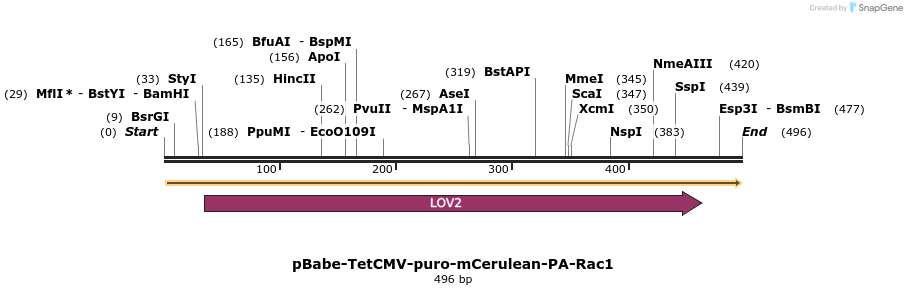 27825_map