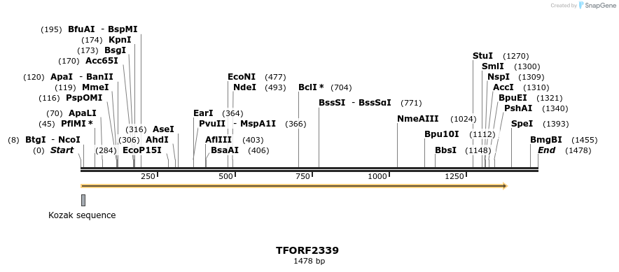 278251_map