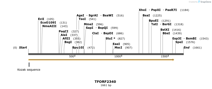 278254_map