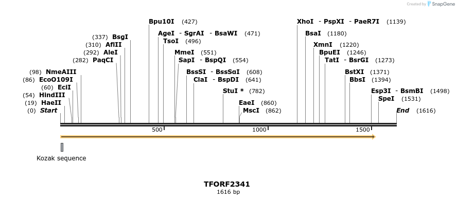 278257_map