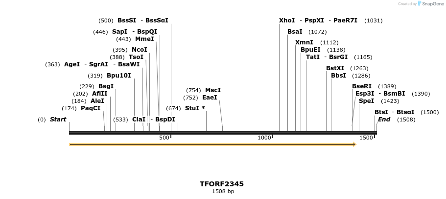 278263_map