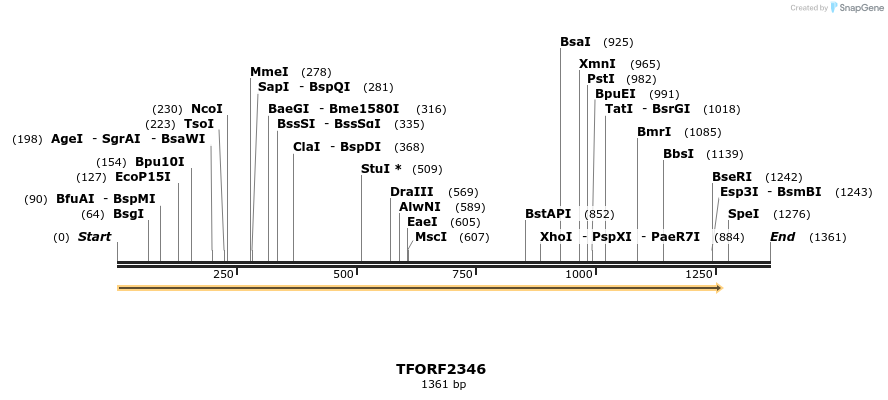 278266_map