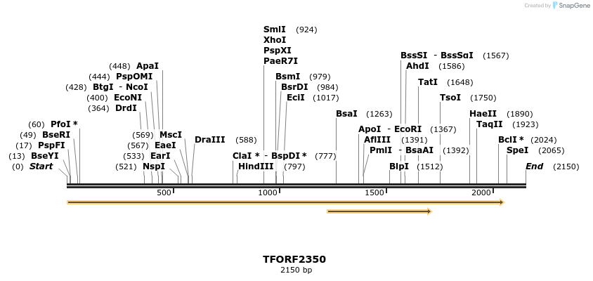 278269_map