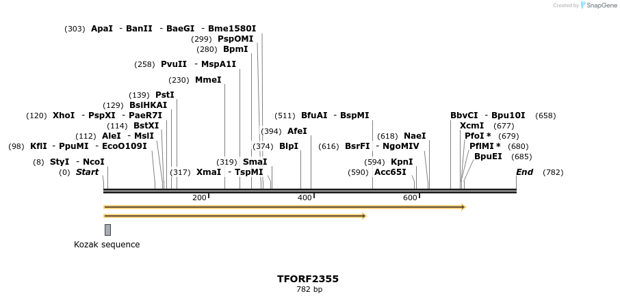 278272_map