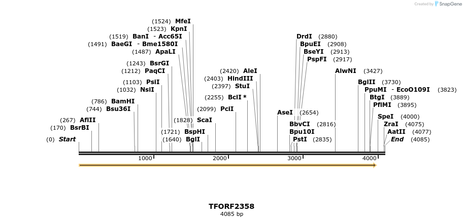 278275_map