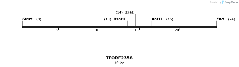 278276_map