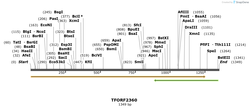 278278_map