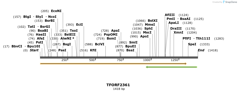 278281_map