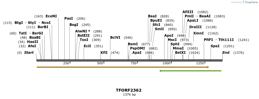 278284_map