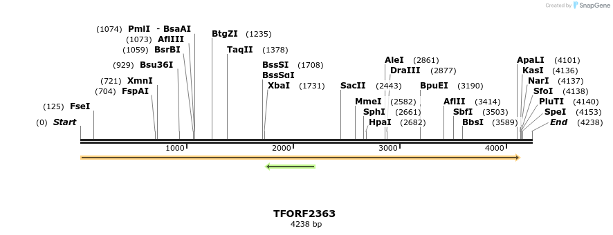 278287_map