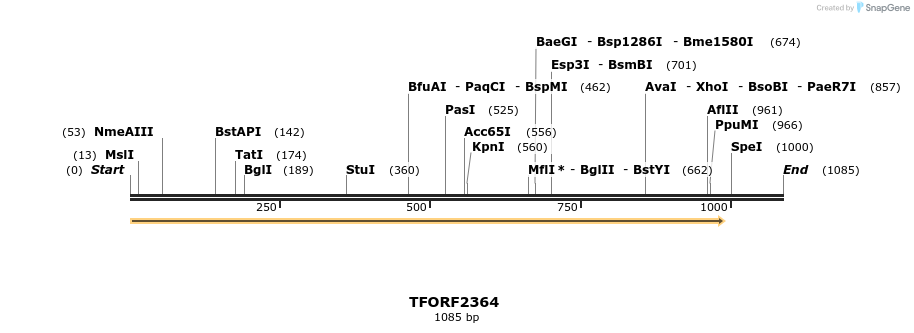 278290_map