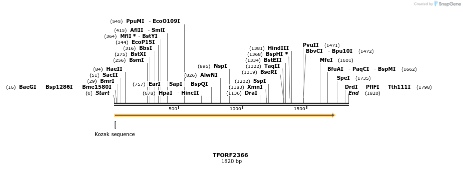 278293_map