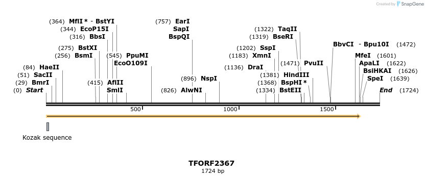 278296_map