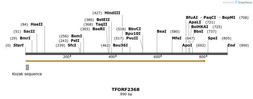 278299_map