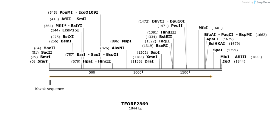 278302_map