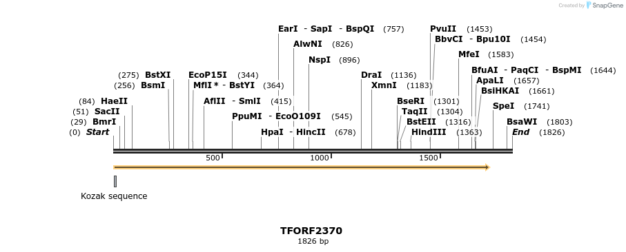 278305_map