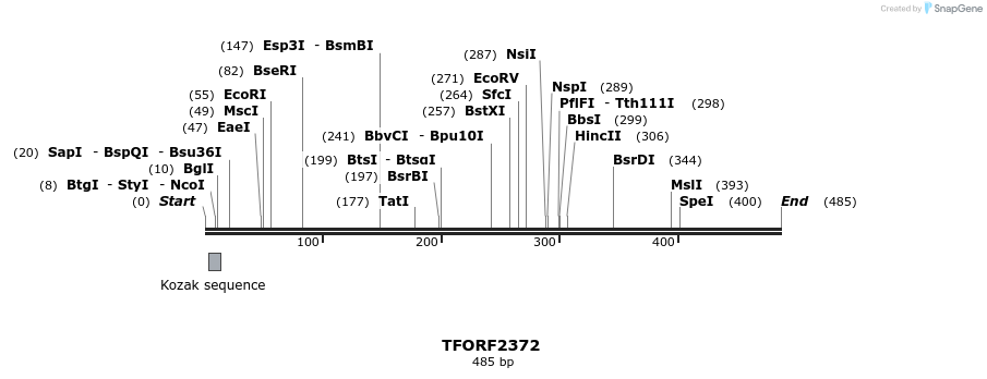278308_map