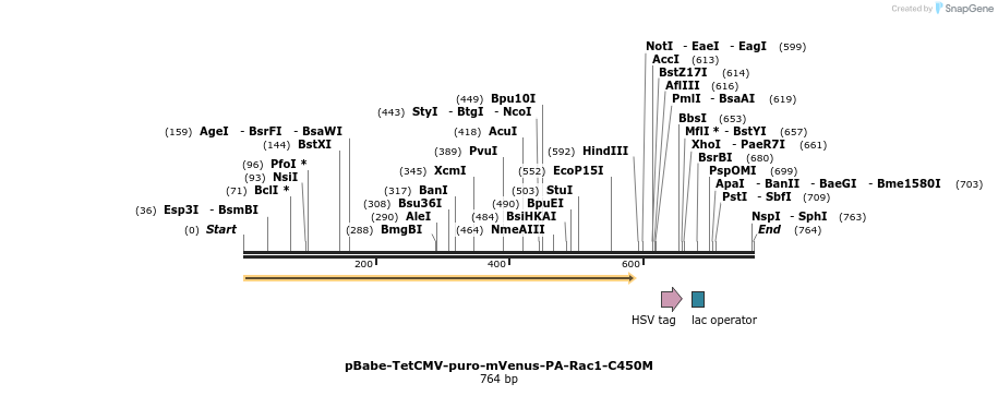27831_map