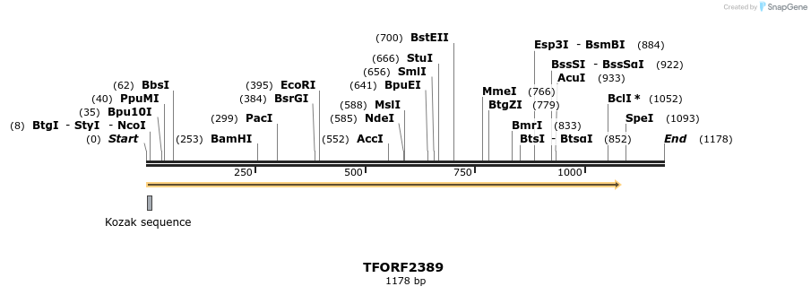 278311_map