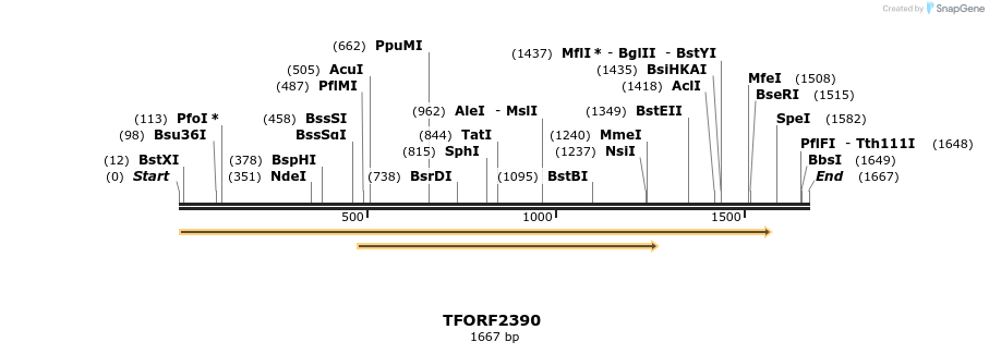 278314_map