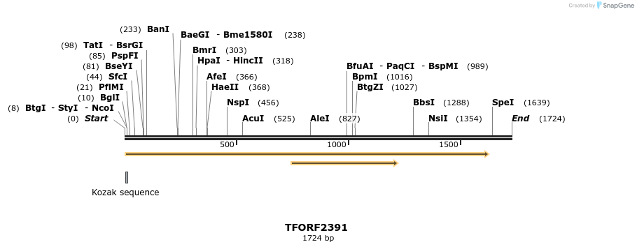 278317_map