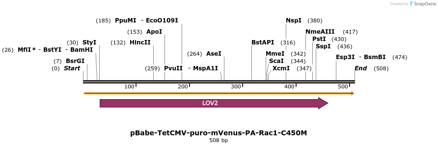 27832_map