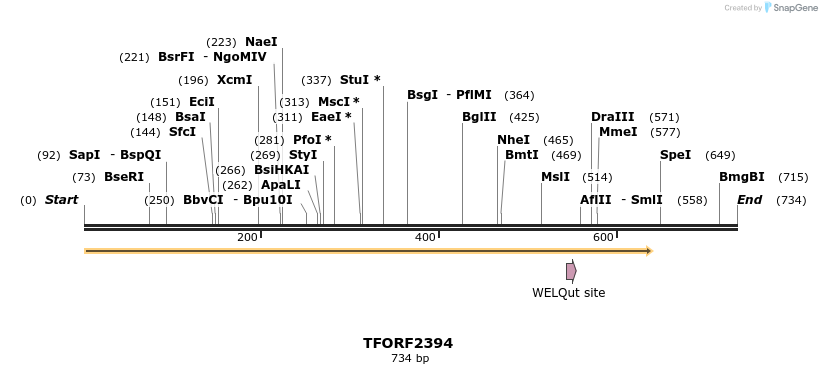 278323_map