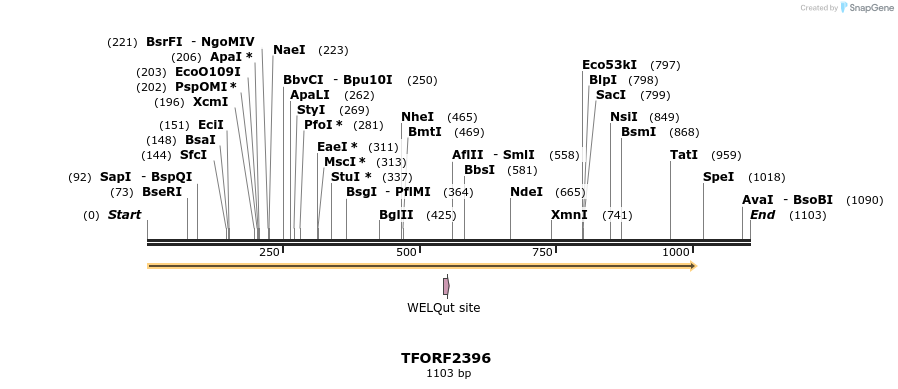 278329_map