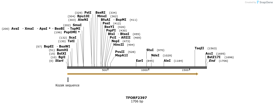 278332_map