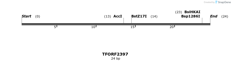 278333_map