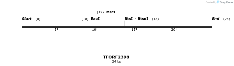 278336_map