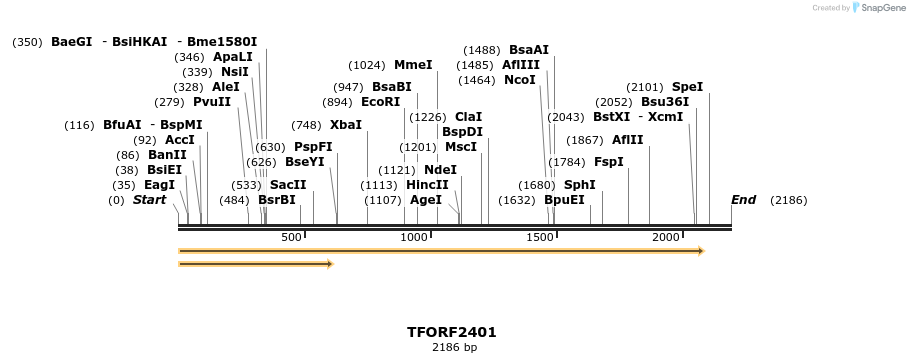 278338_map