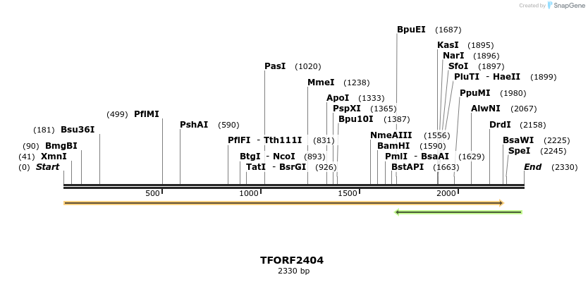 278341_map