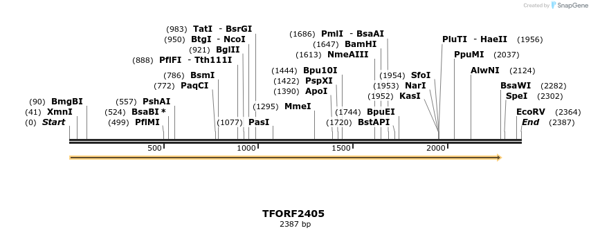 278344_map