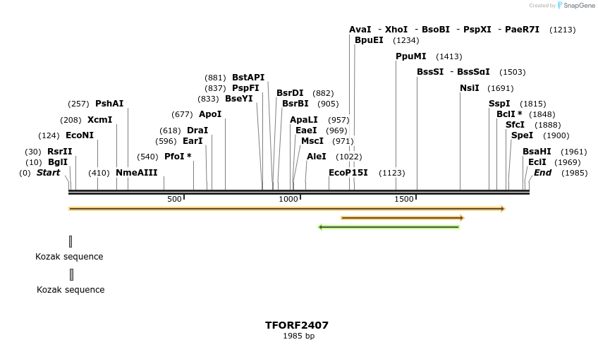 278350_map