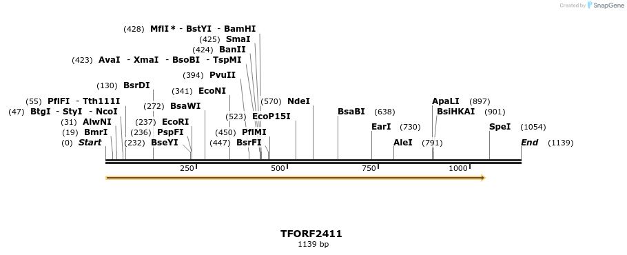 278353_map