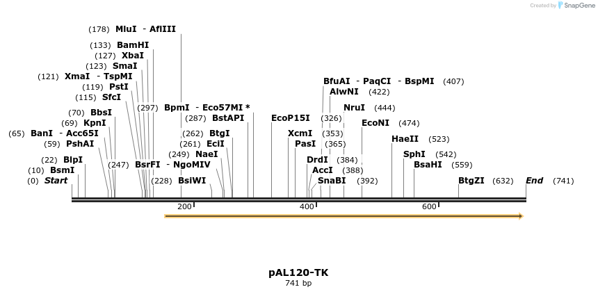 27836_map