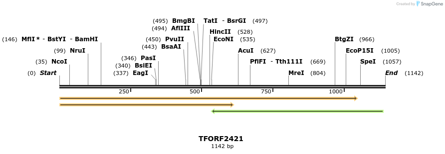278365_map