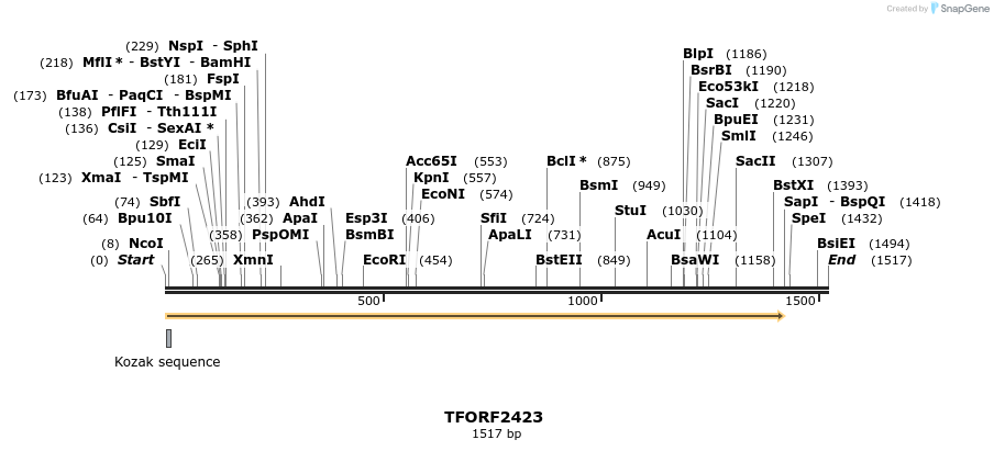 278368_map