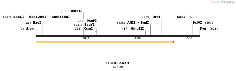278371_map