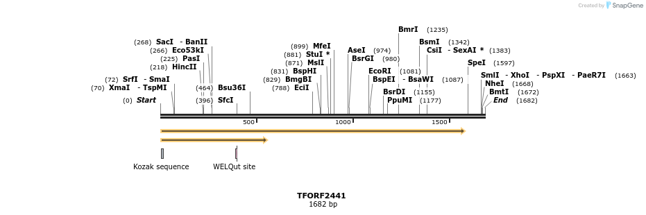 278374_map