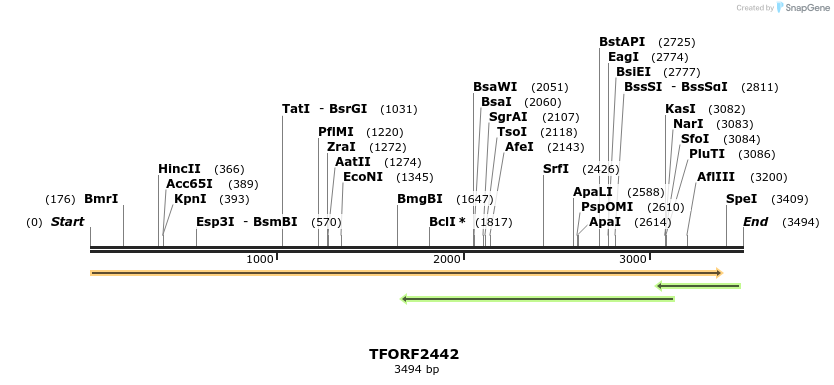 278377_map